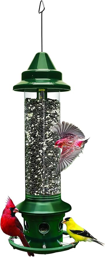 Squirrel Buster Plus Squirrel-proof Bird Feeder w/Cardinal Ring and 6 Feeding Ports, 5.1-pound Se... | Amazon (US)
