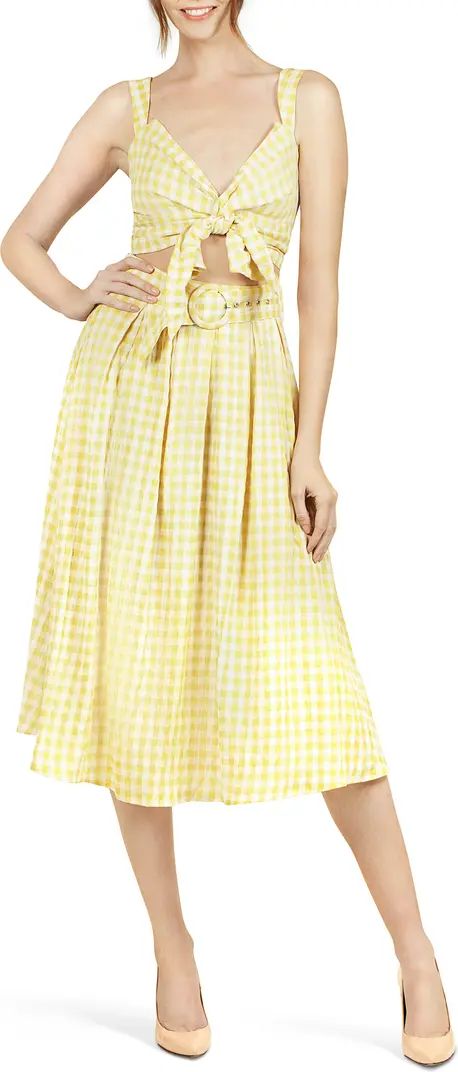 Gingham Belted High Waist Pleated A-Line Skirt | Nordstrom