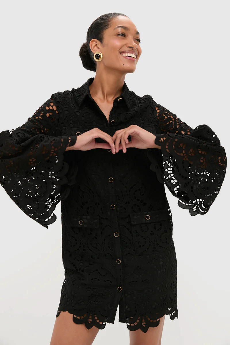 Black Lace Long Sleeve Rachael Mini Dress | Tuckernuck (US)