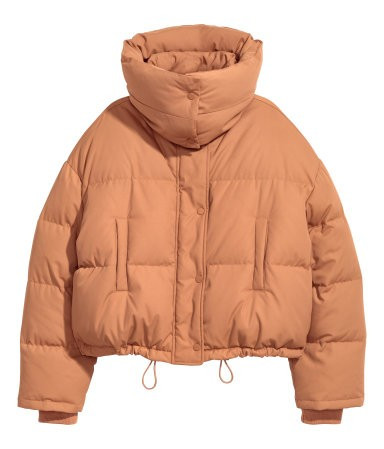 H&M Short Down Jacket $129 | H&M (US)