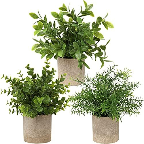 Artificial Potted Plants Set of 3 Small Faux Plant Eucalyptus Mini Fake Plant Decor for Home Table O | Amazon (US)