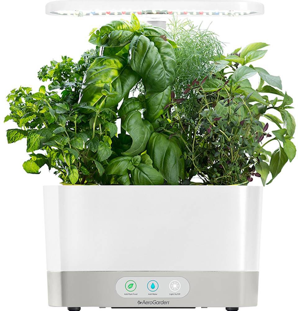 AeroGarden Harvest Indoor Garden Easy Setup 6 Gourmet Herb pods included White 901101-1200 - Best... | Best Buy U.S.
