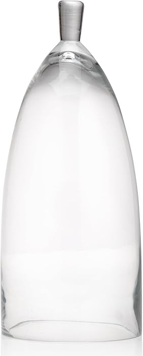 Z Gallerie Jules Cloche Hand-Blown Glass Display Dome, Elegant Terrarium for Curated Decor, Artis... | Amazon (US)