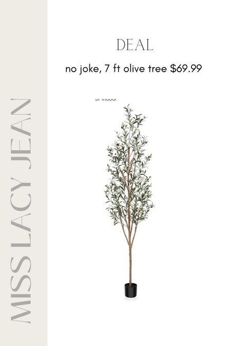 Faux olive tree. Amazon deal
Home decor 

#LTKFind #LTKhome #LTKGiftGuide