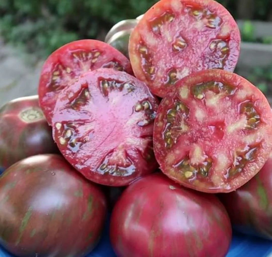 Pink Boar Tomato Seeds | Organic | Etsy (US)