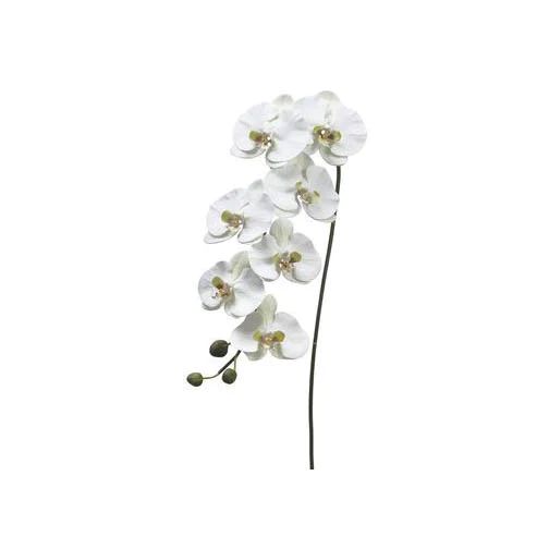 White Orchid Stem - Set of 2 | Cailini Coastal