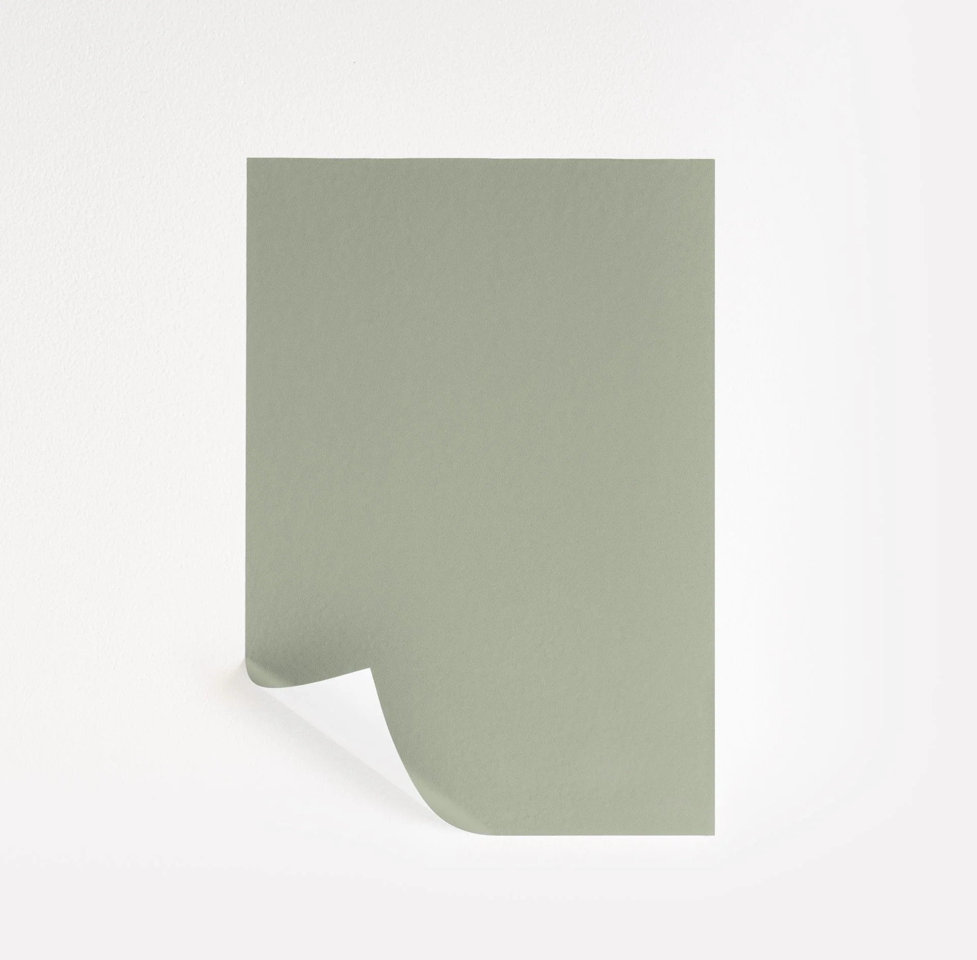 Salisbury Green  Paint Sample | Samplize
