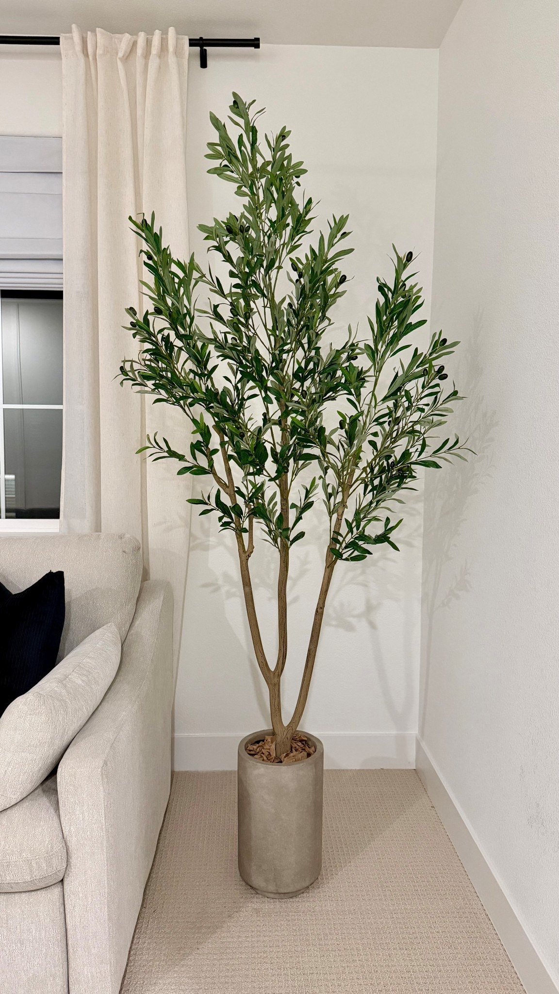 Olive tree 

#LTKHome