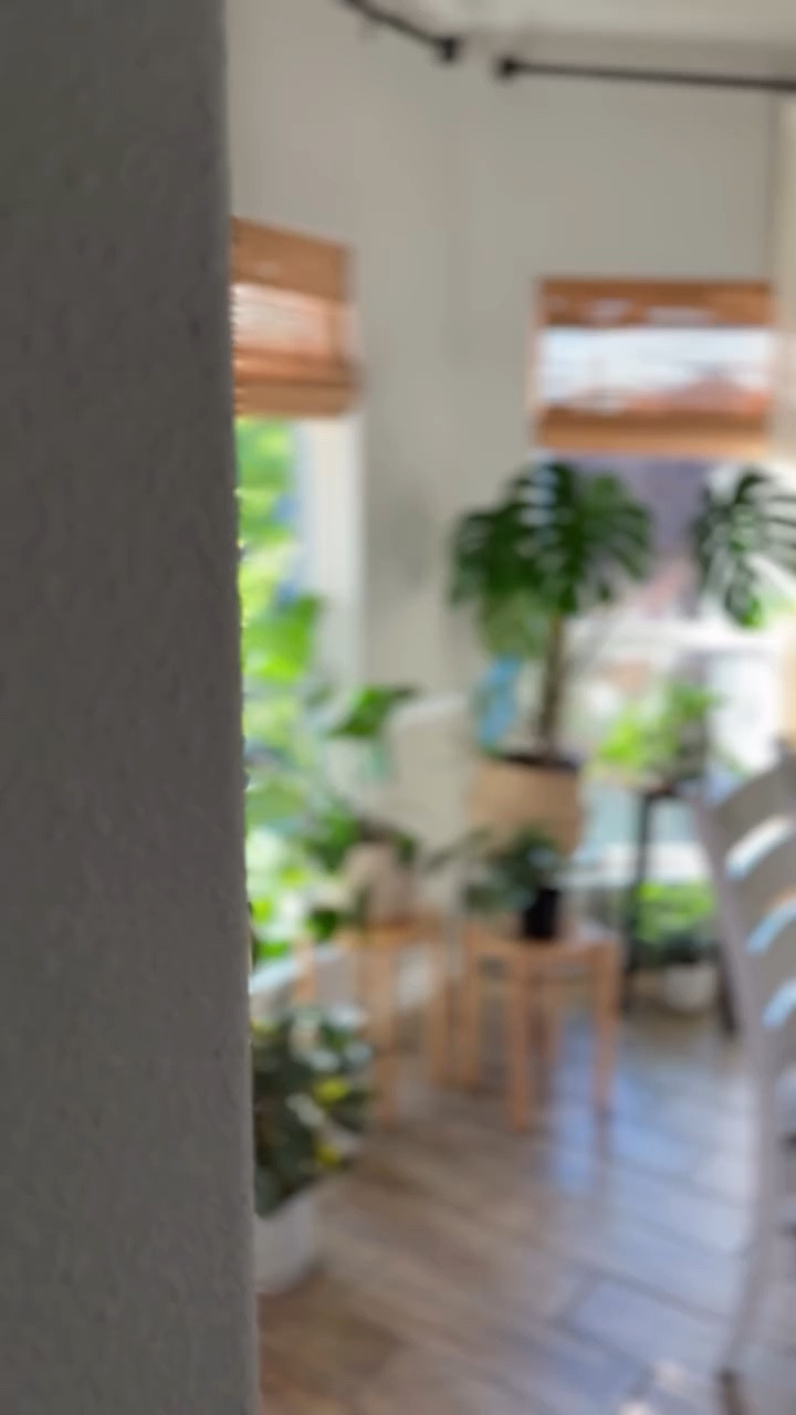 They say it’s spring! 😍🪴🌸 Cuando el sol de las mañanas de primavera entra por la ventana 

#plants #plantsarelife #springtimevibes #señoralife #mamalatinaenusa 
Home Decor
Plants at home 
Spring decor 
Organic modern 
Dallas Texas