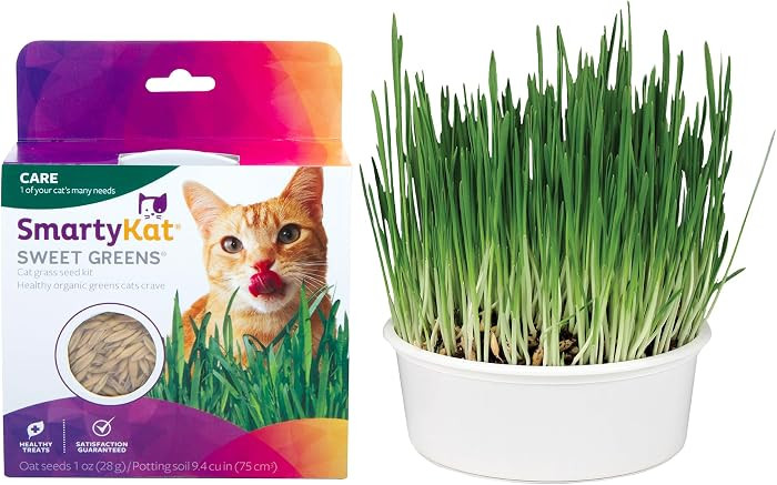 SmartyKat Sweet Greens Organic Oat Grass All-in-One Cat Grass Grow Kit, Easy-to-Grow to Support D... | Amazon (US)