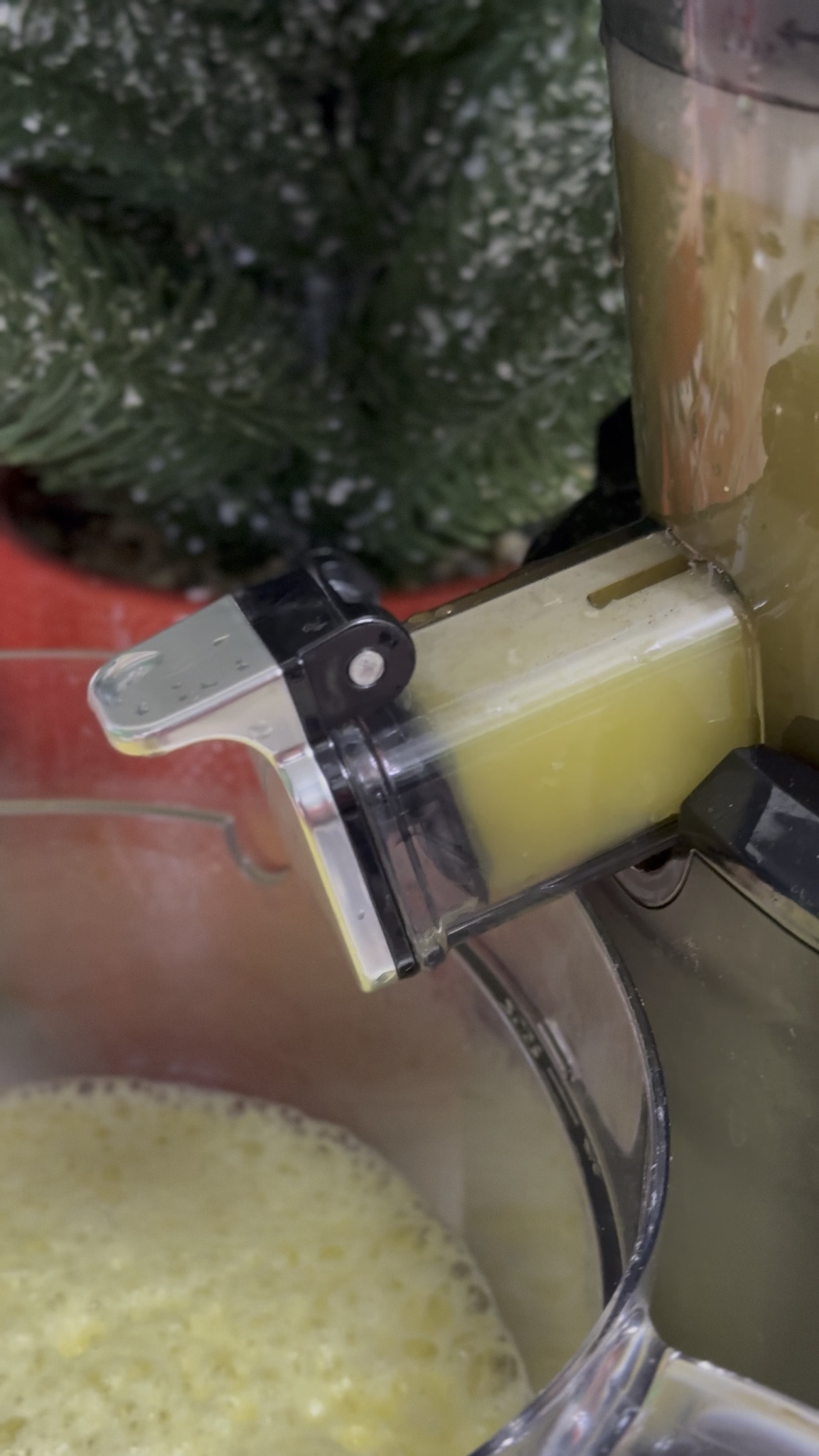 2026 is about taking care of my body from the inside out 💚
More water. Better sleep. Daily juices. And committing to running 4–6 5Ks this year.
Small habits, big results — I’m locked in.

#fitnessgoals2026 #wellnesshabits #healthfirst #runnerlife #5ktraining #juicerlife #selfcarejourney #ShoppingWithPriiincesss #Atlantamom #AtlantaCreator #Atlantacontentcreators


#LTKHome #LTKfitnessgoals #LTKselfcare