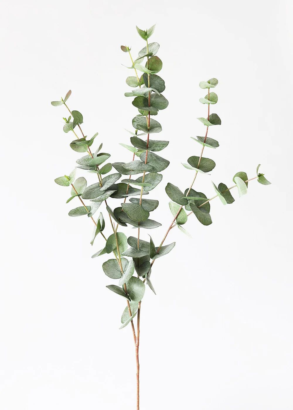 Green Grey Artificial Spiral Eucalyptus - 40" | Afloral (US)