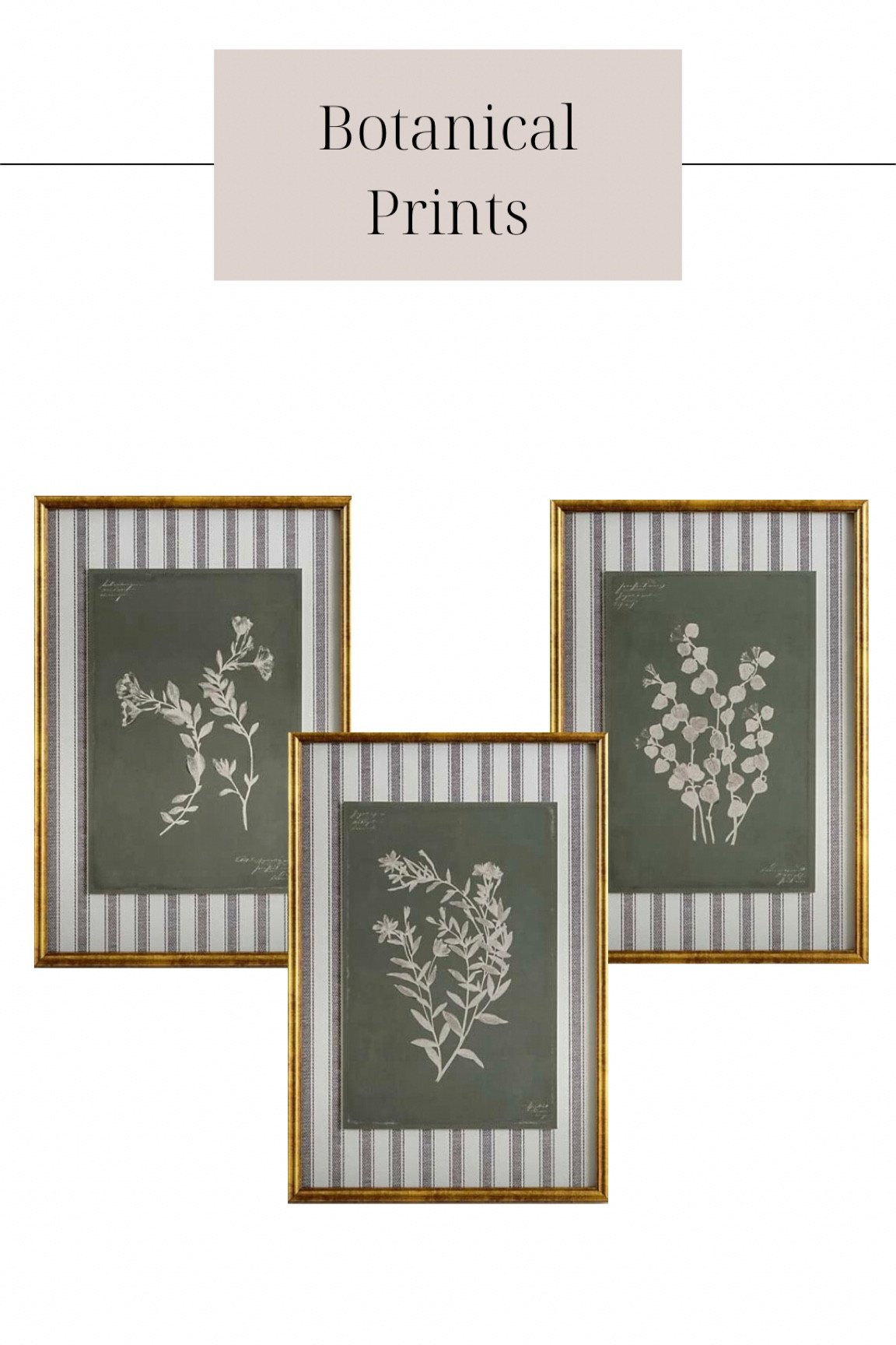 Vintage brass framed botanical wall art! 

#LTKhome #LTKGiftGuide #LTKfindsunder50