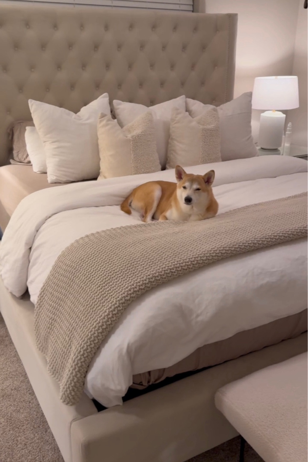 Neutral Bedding ✨🤍 



#LTKhome #LTKstyletip