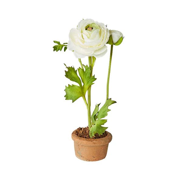 Mini Terracotta Ranunculus in White | Caitlin Wilson Design