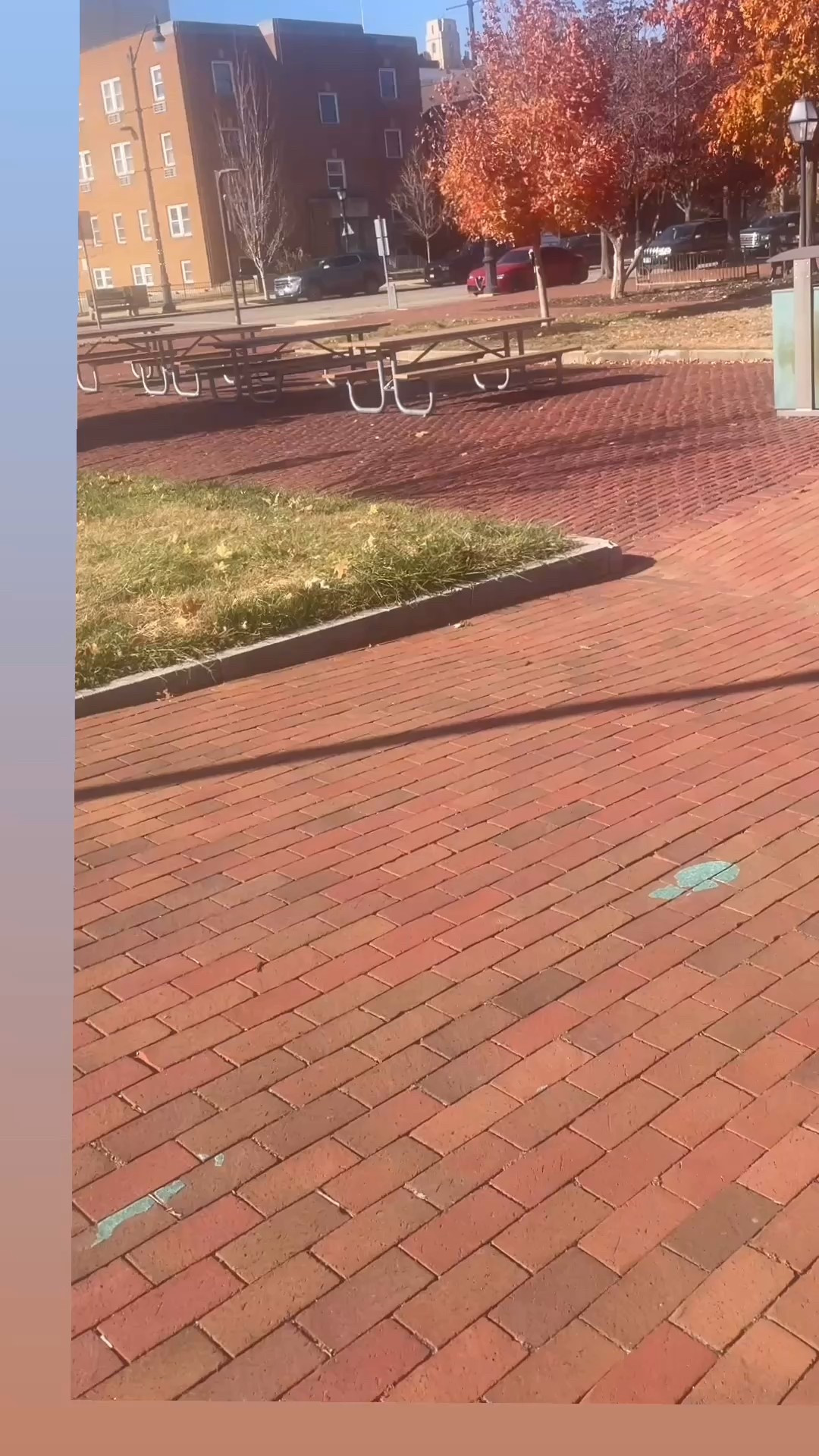 Soaking up these last golden days of autumn 🍂✨ The cozy layers, the slow moments, the “let me grab one more chai latte” afternoons… all of it.
If you love simple style, everyday inspiration, and a good deal—follow me here on IG and over on LTK so you don’t miss a single Black Friday sale drop! 🤎🍁

#AutumnVibes #MiniVlog #FallAesthetic #Over40Style #EverydayStyleInspo #LTKFinds #LTKSaleAlert #BlackFridayPrep #CozySeason #NeutralStyle #ClassicStyle #PrettyAndPolishedOver40 #FashionOver40 #StyleTipsForWomen 

#LTKdayinmylife #LTKGiftGuide #LTKCyberWeek