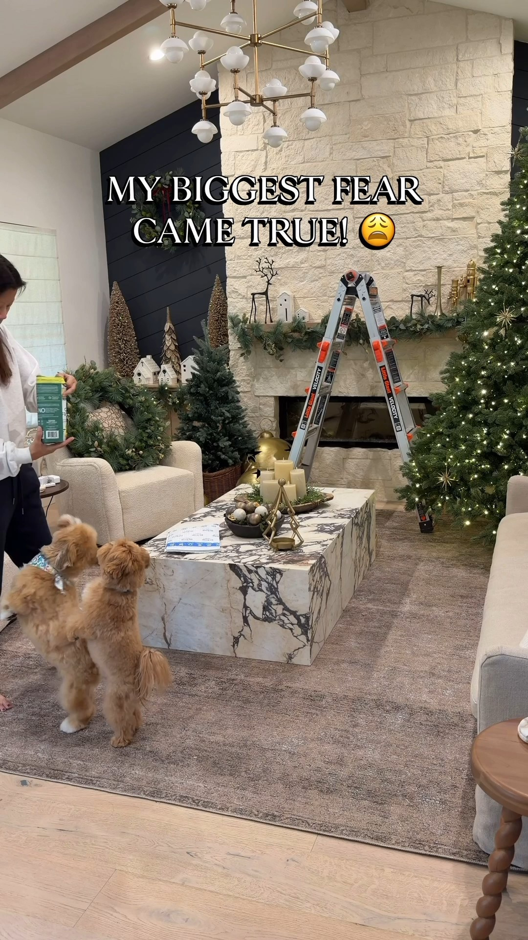 This deodorizer has helped so much! Now my house smells them and fresh. I was a bit apprehensive to use it at first because I thought it was filled with fragrances, but when I looked it has all natural ingredients and safe for my pets and family. This vacuum has also been a game changer! Love that it converts into a handheld, and I cannot live without my steam cleaner.

#CleaningHacks

#LTKSaleAlert #LTKHome #LTKFindsUnder100