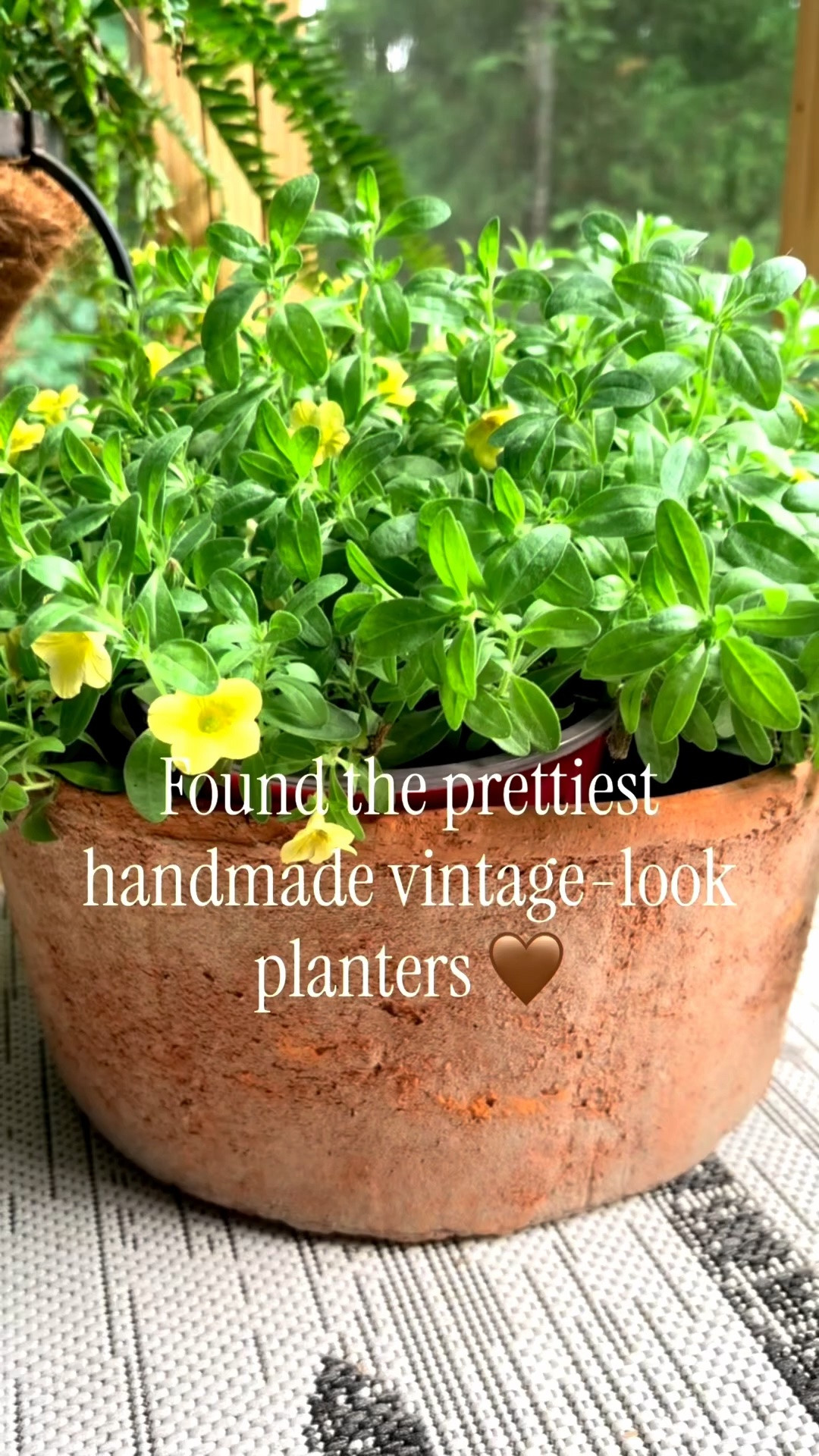 These handmade vintage-inspired planters are even prettier in person 🤎🌿

I love the aged finish, beautiful texture, and the fact that they come in multiple sizes for layering on a porch or patio. They have that collected-over-time look I am always drawn to.

I’ve linked all three sizes here. Stay tuned to see what I end up planting in them for summer!

#LTKHome #LTKStyleTip #WayfairCreator #Wayfair #Wayfairelevate #AmericanSummer #ad #OutdoorDecor #PlanterStyle #PatioDecor #SummerPorch #ContainerGarden #ModernCottage #GardenStyle #GardenInspiration
