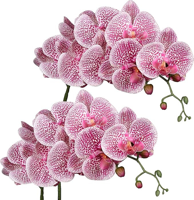 3D Phalaenopsis Artificial Butterfly Orchid Flowers Fake Moth Flor Orchid for Home Wedding DIY De... | Amazon (US)