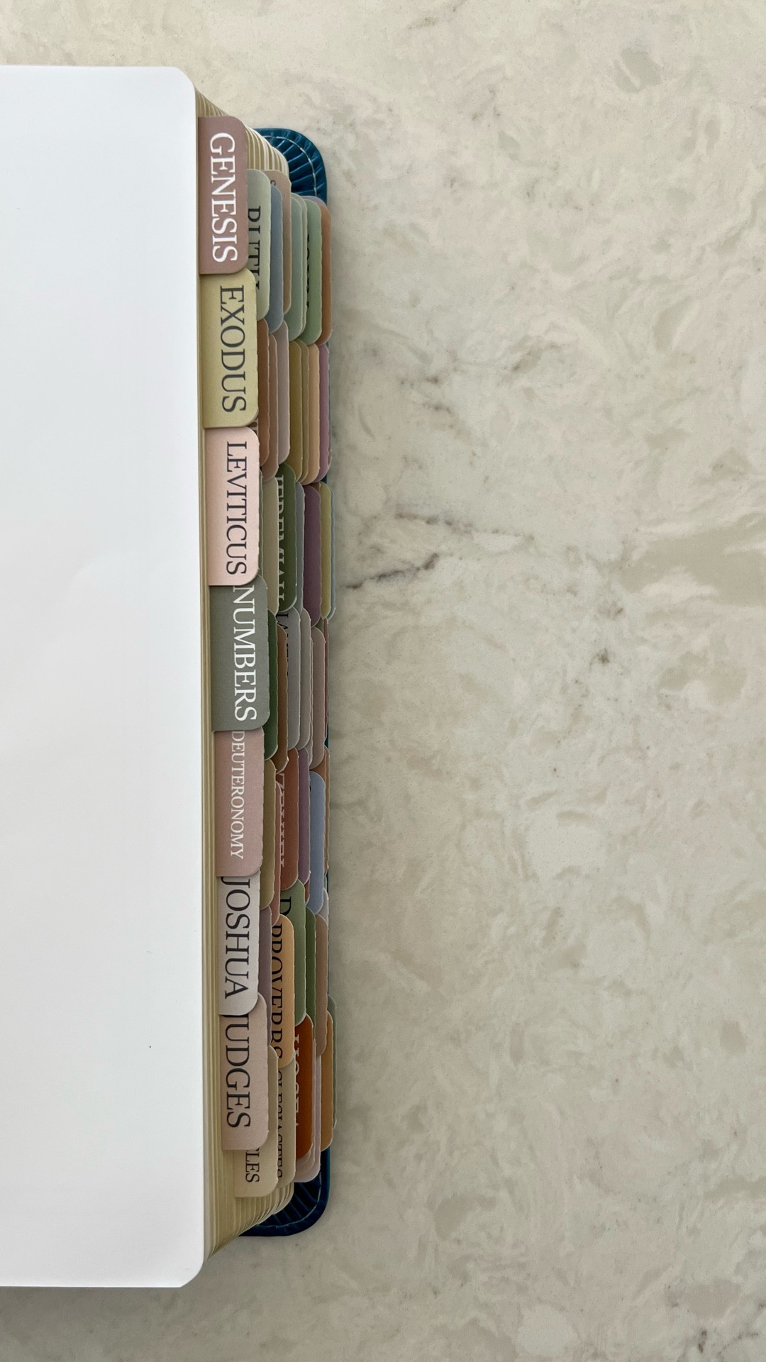 The girls have recently asked for their very own (adult) Bibles - which makes me so emotional just thinking about it.

It reminds me how small moments can plant big seeds of faith.

I also found these neutral Bible tabs - simple, beautiful (and such a good price!) - that make Scripture feel personal and inviting.

Little hearts discovering God's Word on their own is so, so special. 📖✨

#LTKGiftGuide #LTKFamily #LTKHome