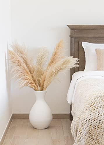 Pampas Grass Decor Tall by PAMPAS PLACE - Dried Natural Tall Flowers 48"(4ft) Large Fluffy Stems 5 p | Amazon (US)