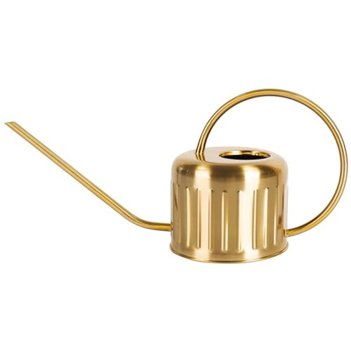 BLstyle 34oz/1L Stainless Steel Watering Can, Rust-Proof Indoor/Outdoor Watering Can for House Plants, Long Spout Water Can for Succulent Bonsai Garden Flowers (Gold Color) | Amazon (US)