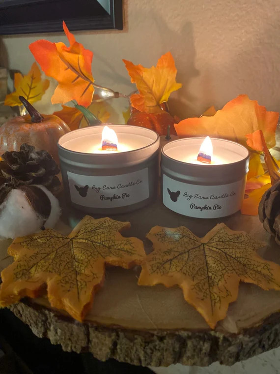 Pumpkin pie candle, pumpkin pie fall candle,  woodwick soy candle, pumpkin pie soy candle, soy pu... | Etsy (US)