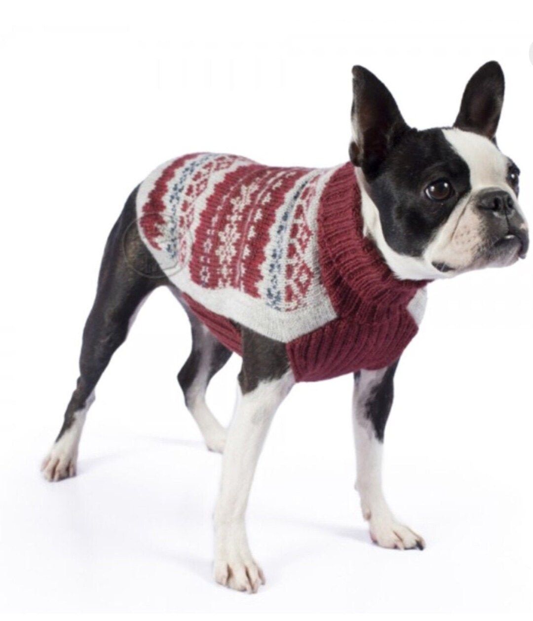 Knitted dog sweater, dog clothing, alpaca wool, medley burgundy | Etsy (US)