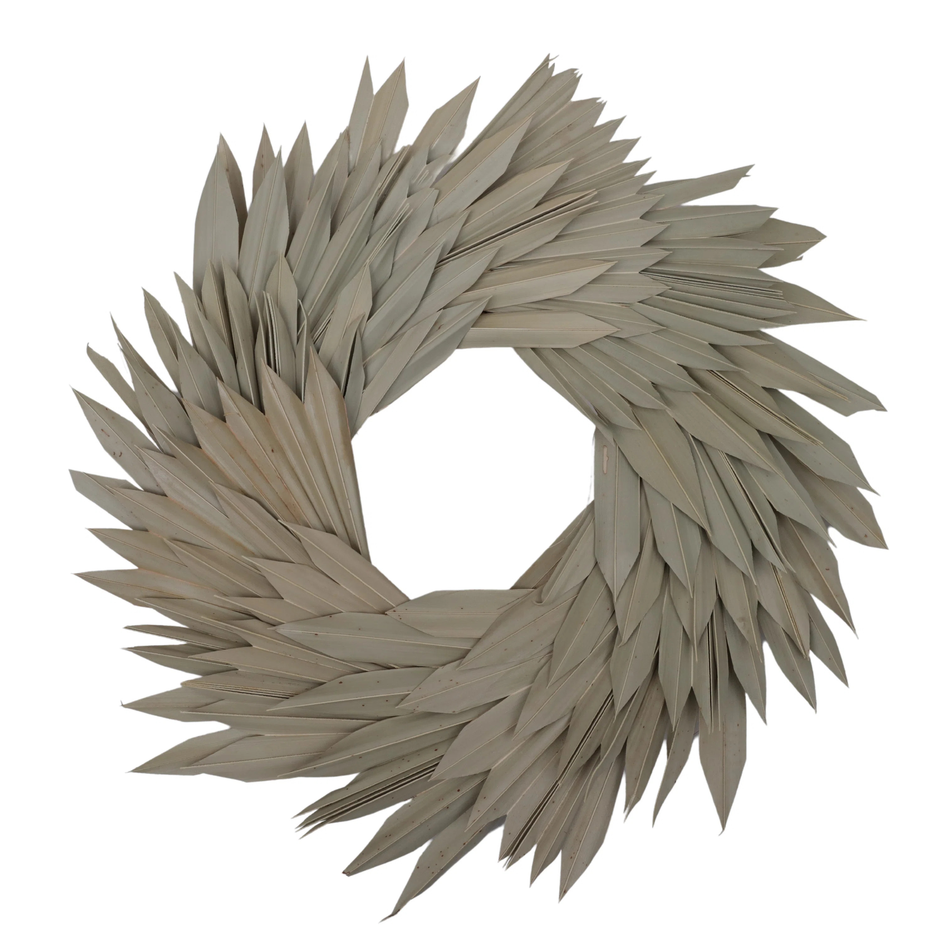 Natural Botanicals 17" Palm Sun Wreath | Wayfair North America
