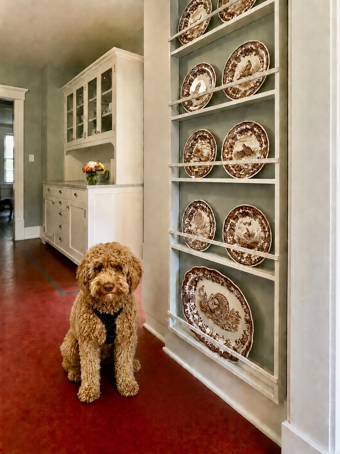 Dog favorites. Spode dog bowl. Transferware dog bowl. Dog bow tie. Dog collar. Dog accessories.

#LTKHome #LTKSeasonal