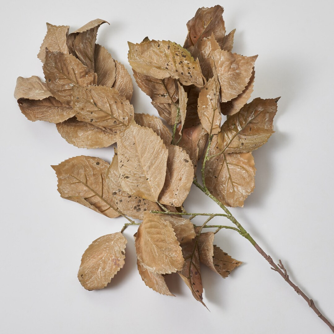 Cream Brown Dried-look Crinkled Leaves Faux Fall Large Branch 47 - Etsy | Etsy (US)