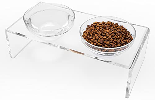 Acrylic Elevated Dog Cat Bowls Pet Feeder Double Bowl Raised Stand Comes with 2 Removable Glass Bowls and 2 Stainless Steel Bowls.Perfect for Medium Dogs, 5.5" Tall | Amazon (US)
