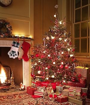 Cat Christmas Stocking with Toys for Cats and Kitten, Cat Christmas Stocking Stuffers 22 Assorted... | Amazon (US)