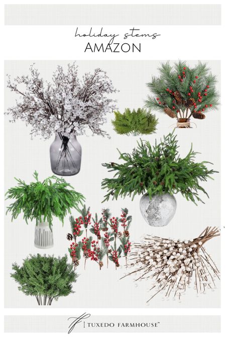 Holiday stems at Amazon!



Holiday decor, stem arrangement, Christmas stems, Christmas decor, faux plants, Christmas 

#LTKhome #LTKHoliday #LTKsalealert