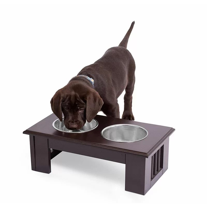 BirdRock Home Internet's Best Pet Decorative Elevated Feeder | Wayfair North America