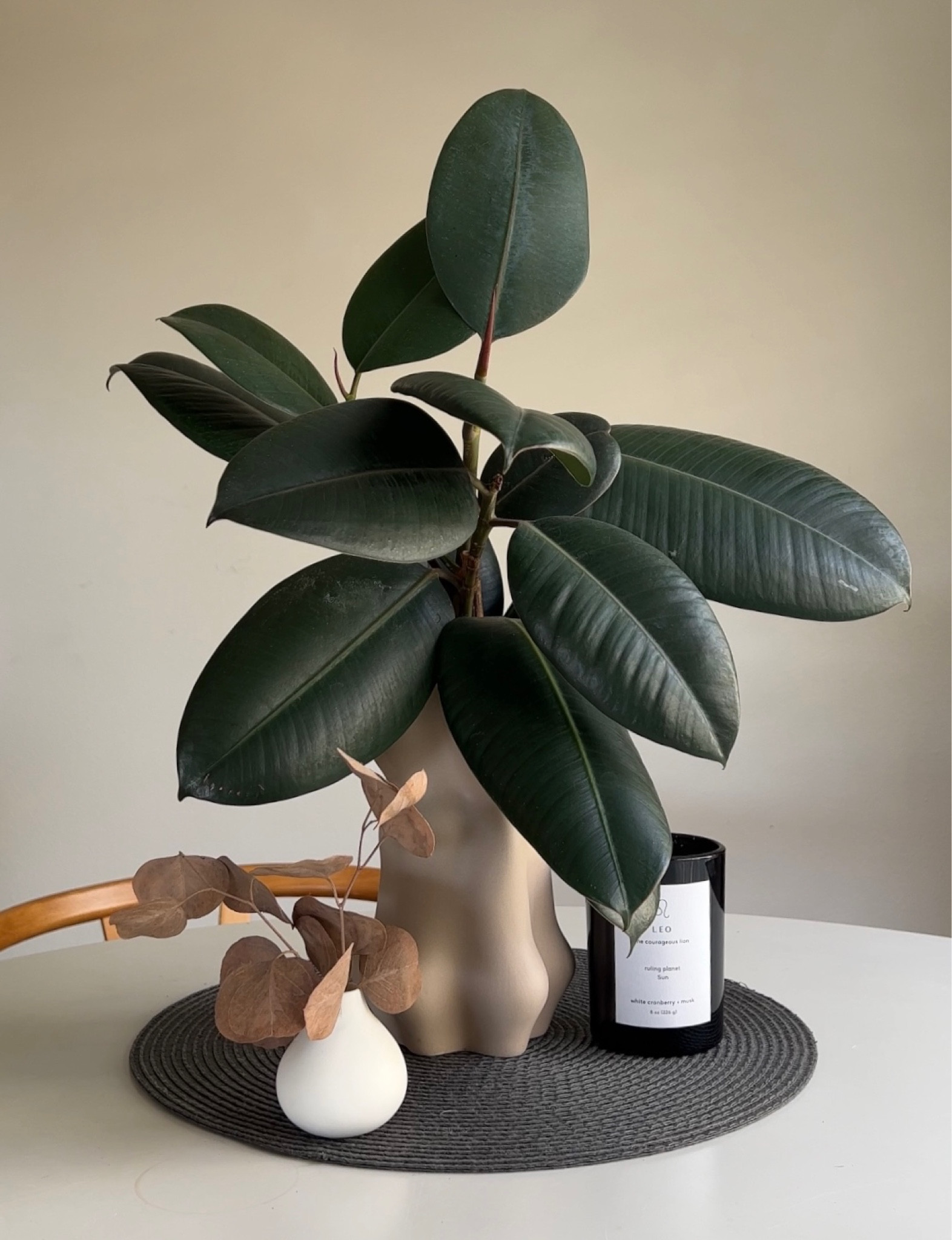 Plant cuttings as centerpiece  

#LTKunder50 #LTKstyletip #LTKhome