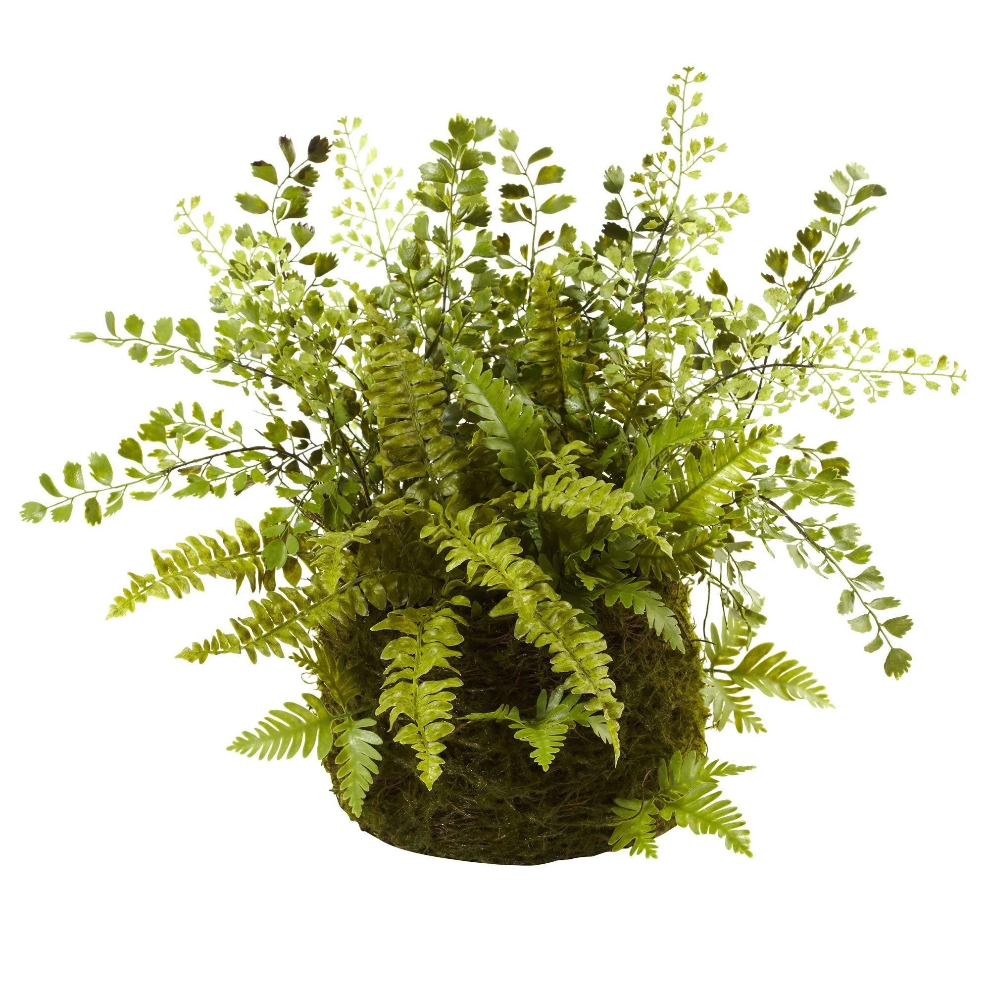 Mixed Fern w/Twig and Moss Basket | Nearly Natural | Nearly Natural