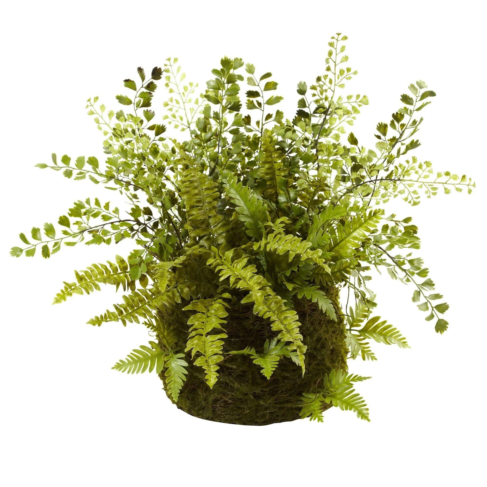 Mixed Fern w/Twig and Moss Basket | Nearly Natural