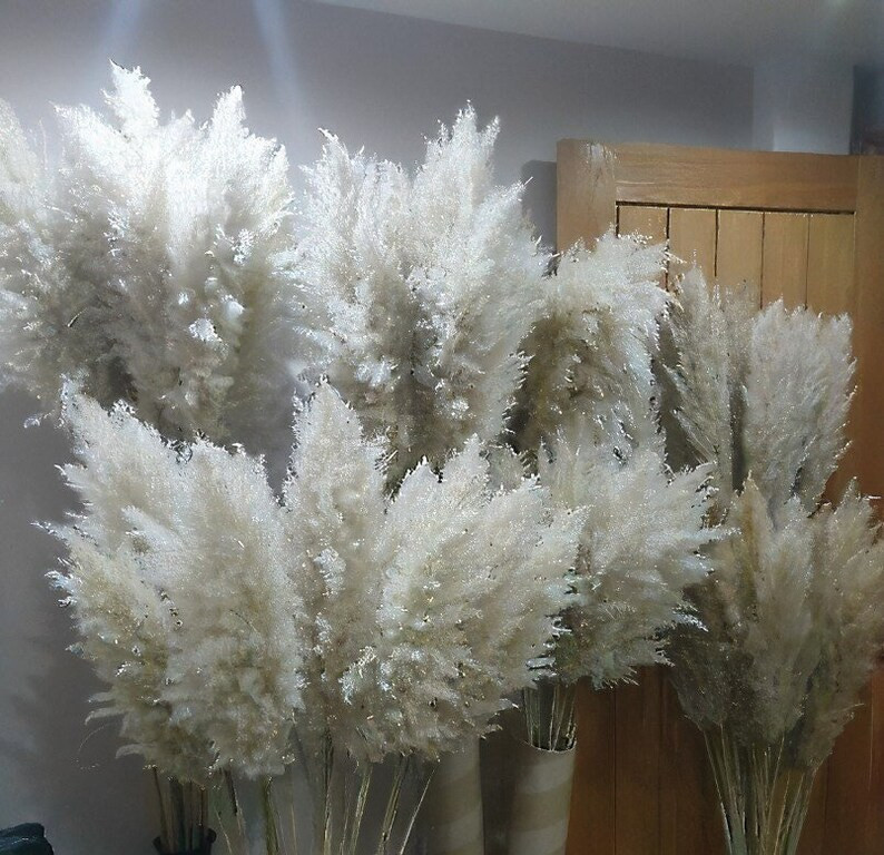 Large Pampas Grass-pampas Grass-wedding Decor-party Grass-boho - Etsy | Etsy (US)