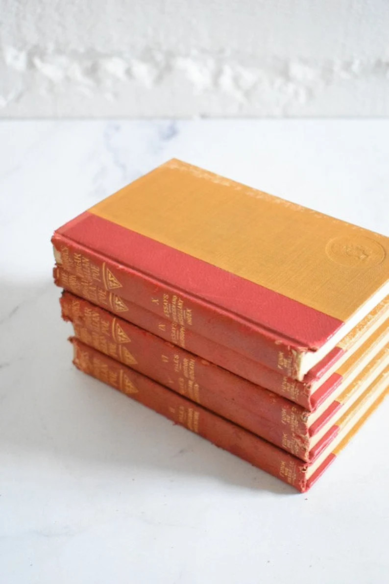 Set of 5 Cameo Books the Works of Edgar Allan Poe - Etsy | Etsy (US)
