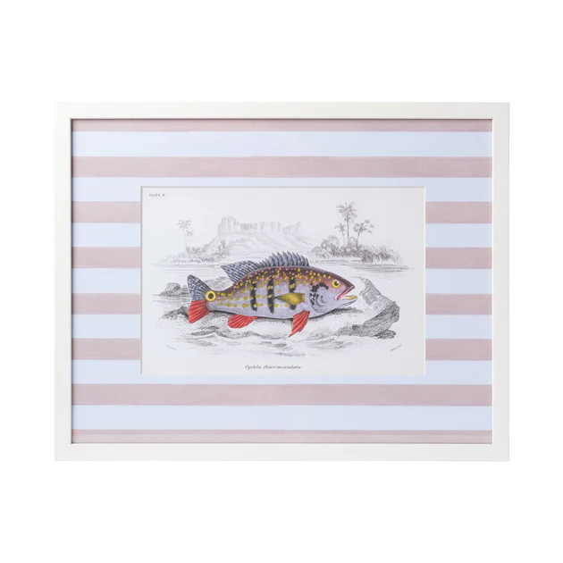 Stripe Fish Framed Art Print - D | Cailini Coastal