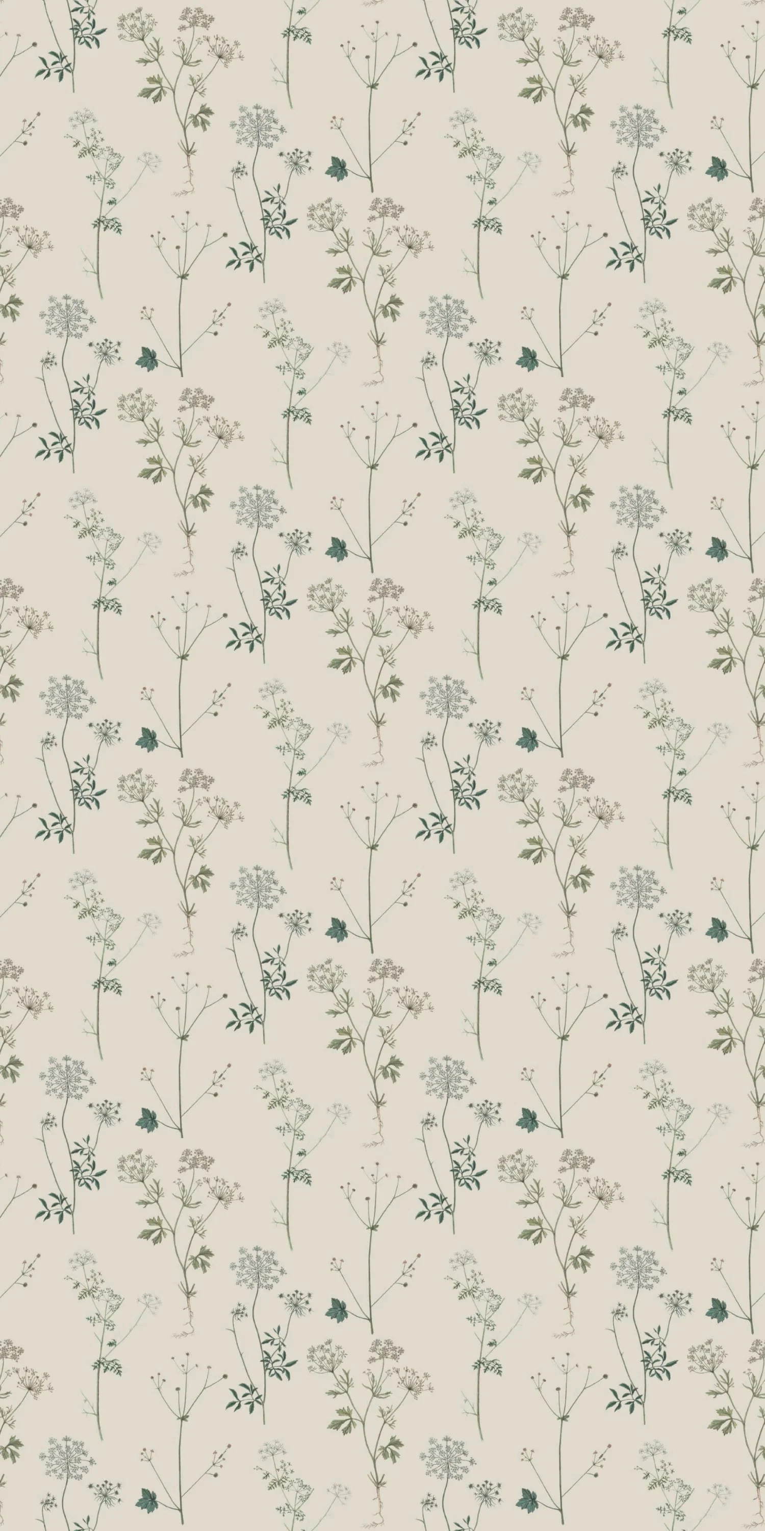 Lace | Chasing Paper