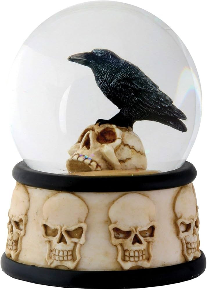 YTC 3.5 Inch Cold Cast Resin Raven on Skull Water Snow Globe Skull Theme | Amazon (US)