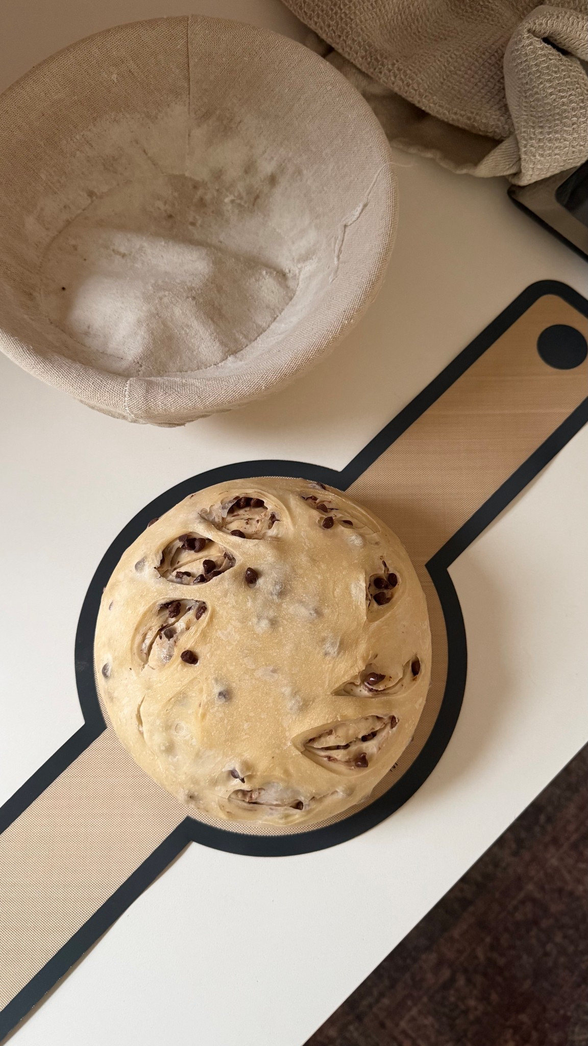 Chocolate chip sourdough moment 🤎🍞 this one is soft on the inside, perfectly golden on the outside, and honestly… better than anything store bought. If you’ve been wanting to try sourdough at home, this is your sign ✨ I’ll link everything I use to make it beginner-friendly + consistent every time.

#sourdoughbread #sourdoughbaking #chocolatechipsourdough #homemadebread #artisanbread #breadmaking #fromscratch #bakingathome #sourdoughstarter #easyrecipes #homebaker #kitchenfavorites #bakingtools #breadlover #foodiefinds #ltkhome #ltkitchen #ltkfood #homecooking #healthyishrecipes #momlifehacks #realmomlife #cozykitchen

#LTKmomlife #LTKHome #LTKdayinmylife