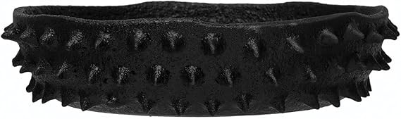 Creative Co-Op Decorative Terra-Cotta Spiked Bowl, 15" L x 15" W x 4" H, Black | Amazon (US)