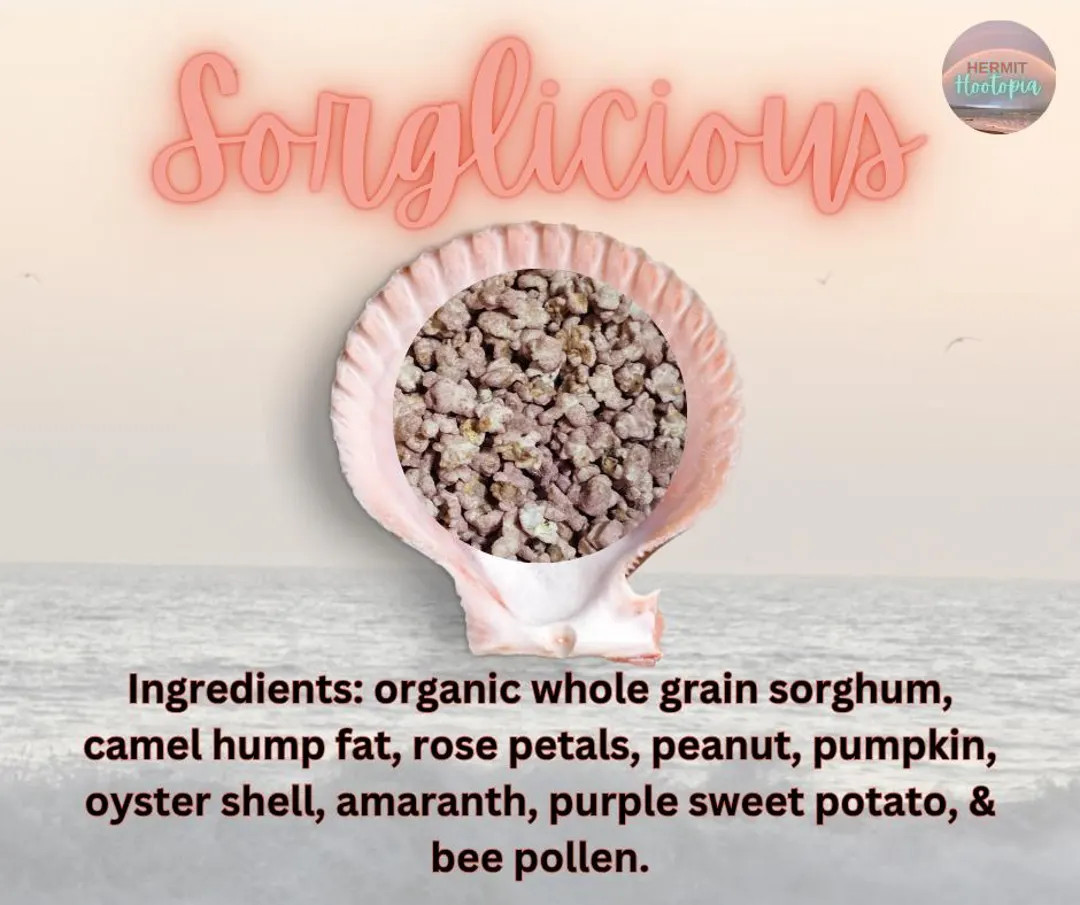 Homepage | Etsy (US)