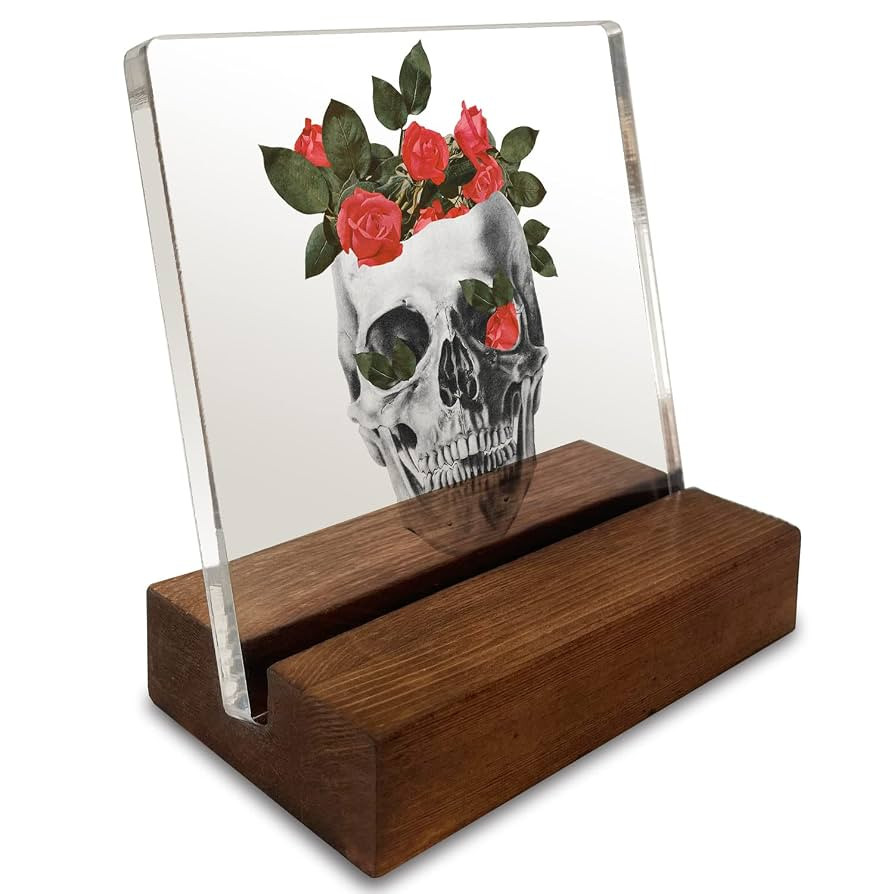 Skull Anatomy Flower Vintage Art Acrylic Plaque With Wooden Stand Home Office Desk Simple Decor S... | Amazon (US)