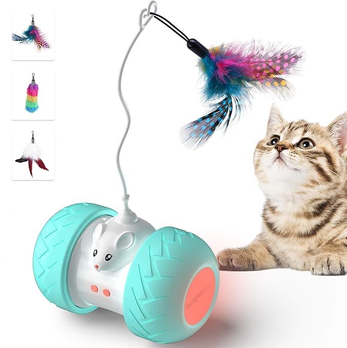 BurgeonNest Interactive Cat Toys for Indoor Cats, Automatic Kitten Toys Electronic with Mouse and... | Amazon (US)