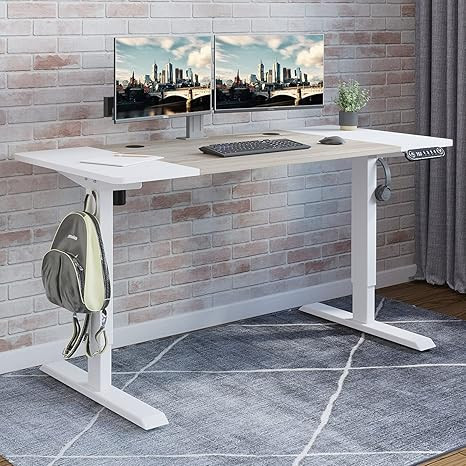 Amazon.com: Electric Height Adjustable Standing Desk, Radlove 55 x 24 Inches Stand Up Desk Workst... | Amazon (US)