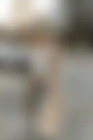 OVERSIZED TRENCH COAT | OAK + FORT